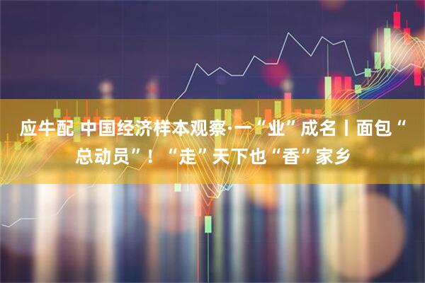 应牛配 中国经济样本观察·一“业”成名丨面包“总动员”！“走”天下也“香”家乡