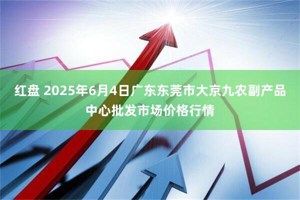 红盘 2025年6月4日广东东莞市大京九农副产品中心批发市场价格行情