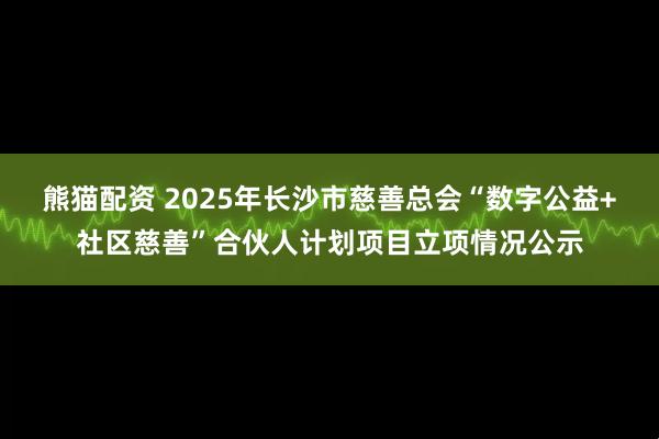 熊猫配资 2025年长沙市慈善总会“数字公益+社区慈善”合伙人计划项目立项情况公示
